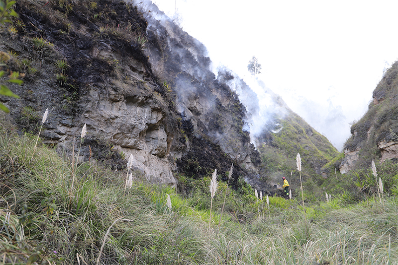 boletin_26_de_julio_2022.jpg